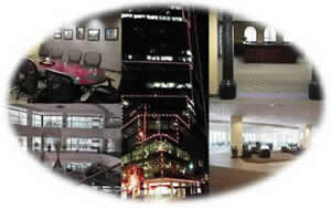 Our Offices